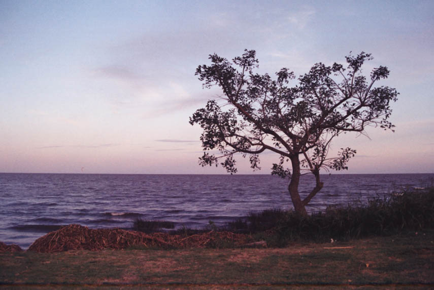 El Río en San Isidro, Buenos Aires