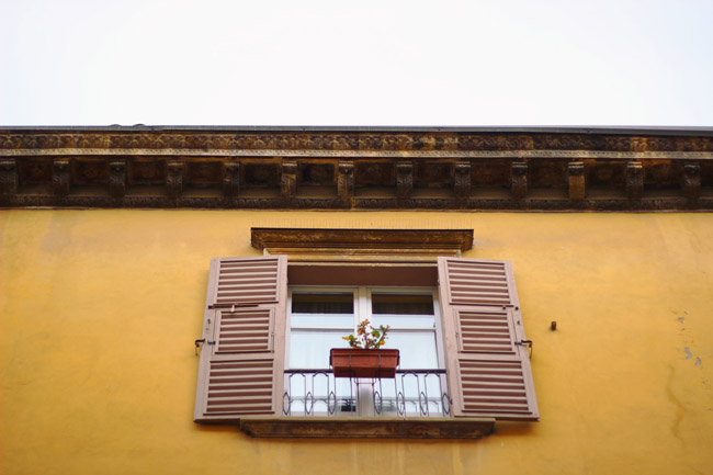 Ventanas de Bologna, Sharon Borgstrom