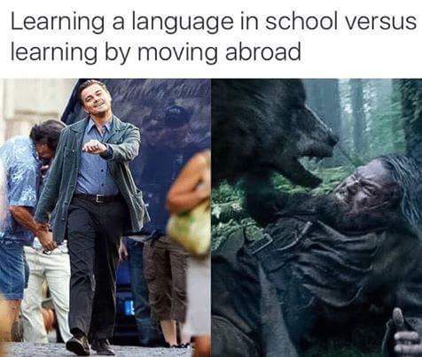 learn new language moving abroad