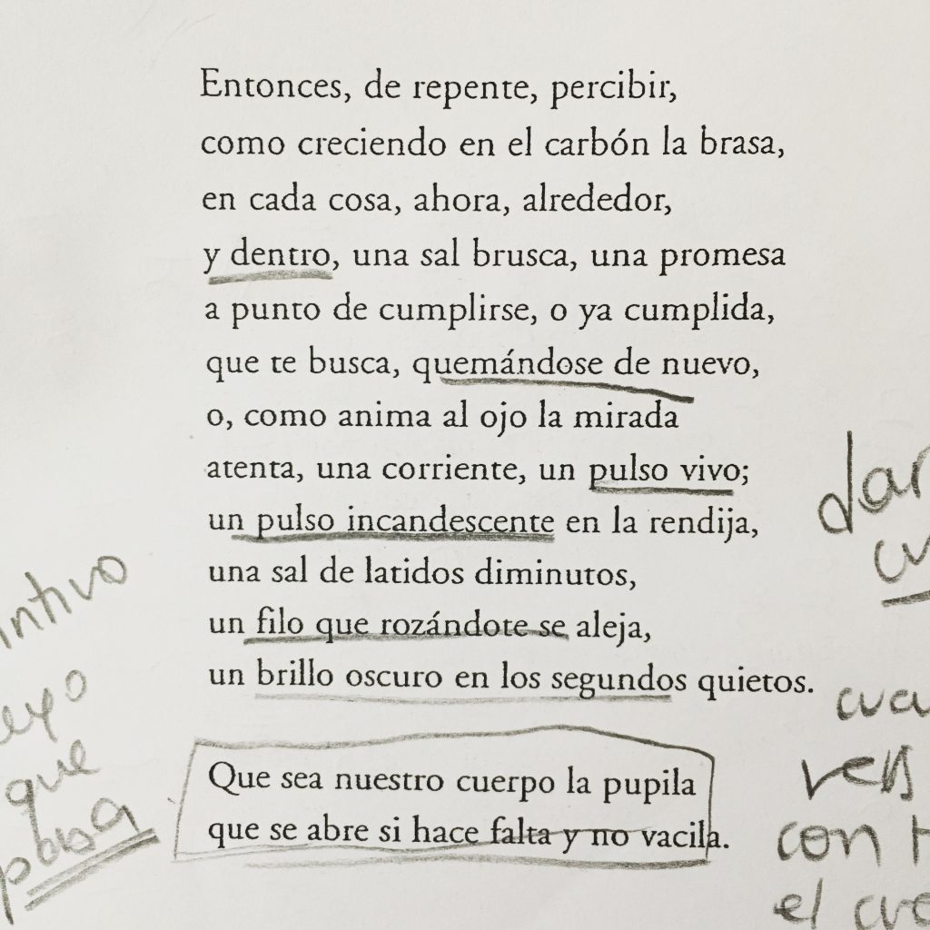 Este es el poema de Alejandro Crotto. Poesía mágica. 