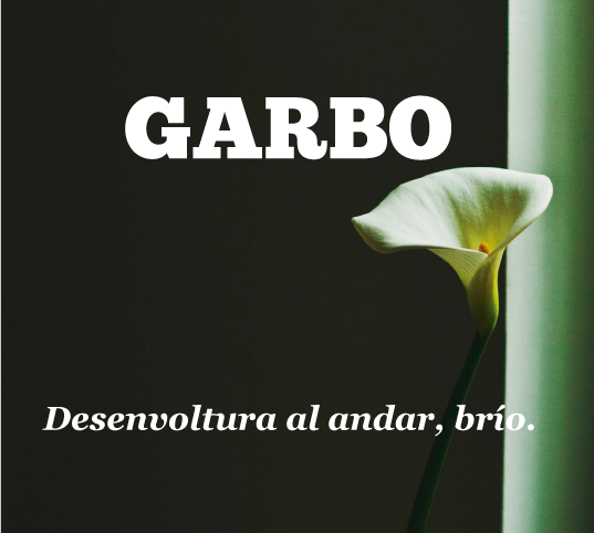 Palabra garbo diccionario